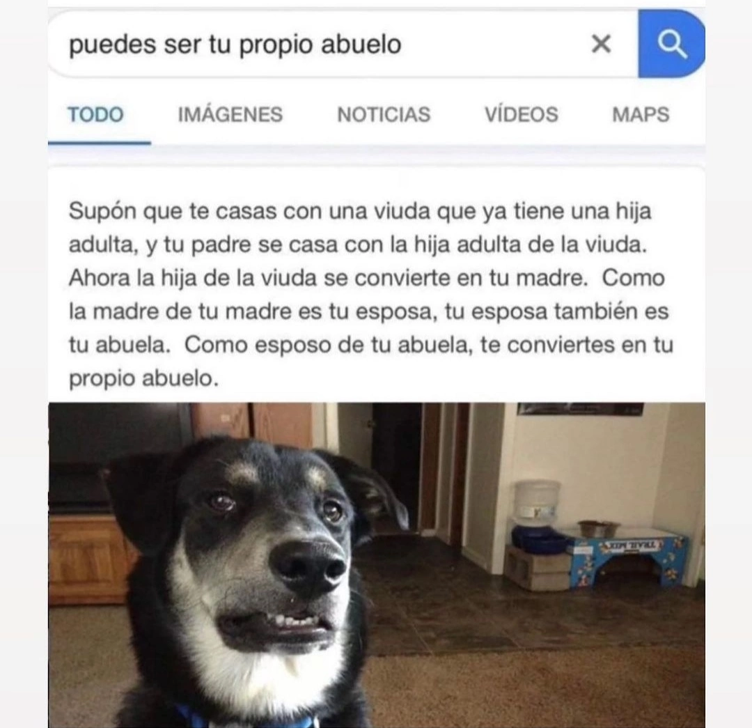 1000027386.webp