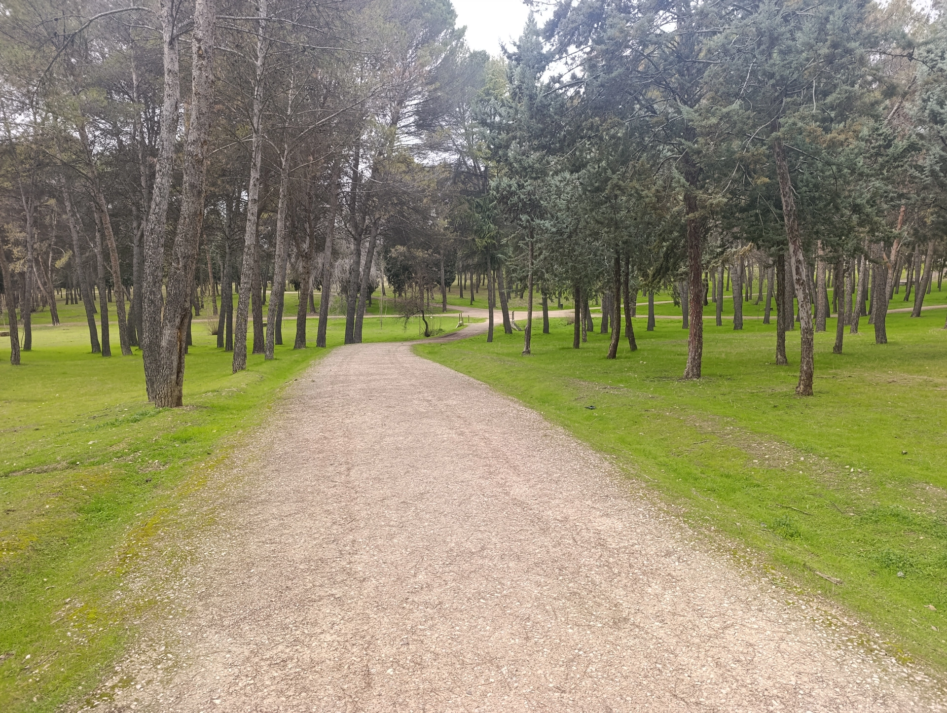 1000027489.webp