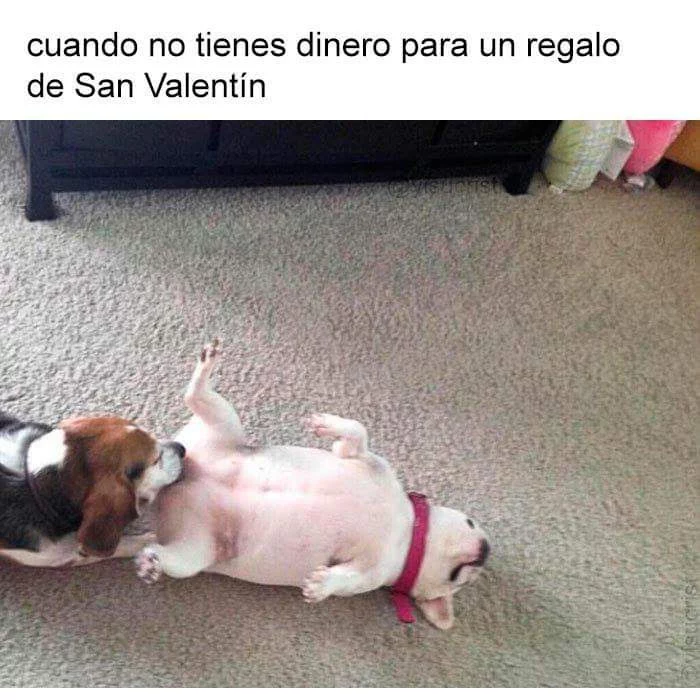 1000027562.webp
