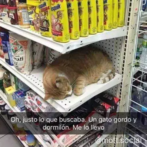 1000027827.webp