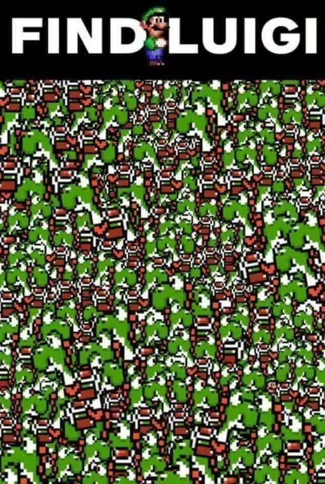 1000027860.webp