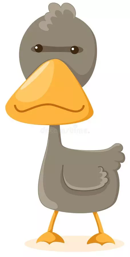 1000028966.webp