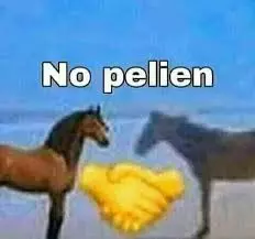 1000029025.webp