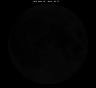 1000029241.gif