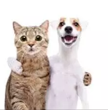 1000029527.webp