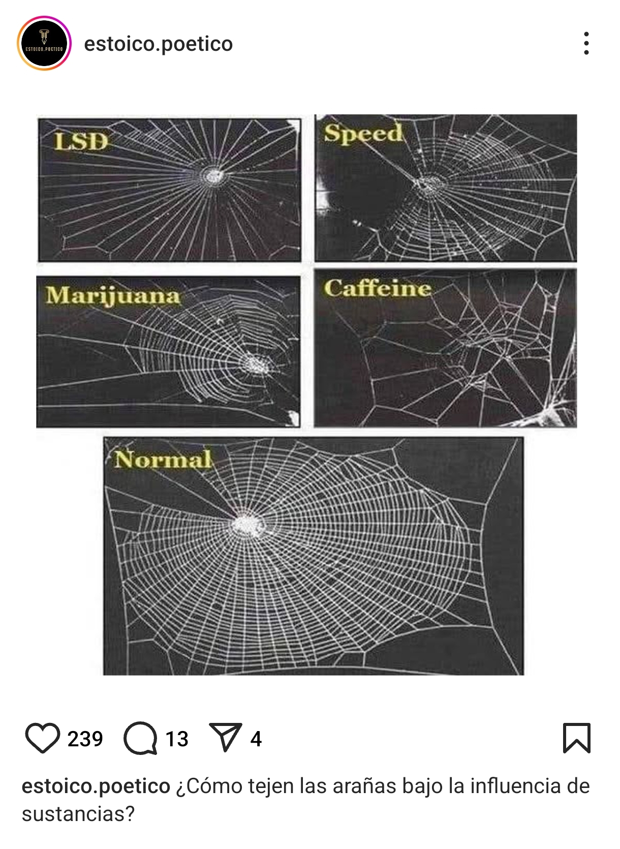 1000030691.jpg