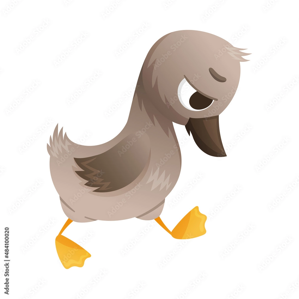 1000030840.webp