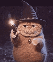 1000030889.gif
