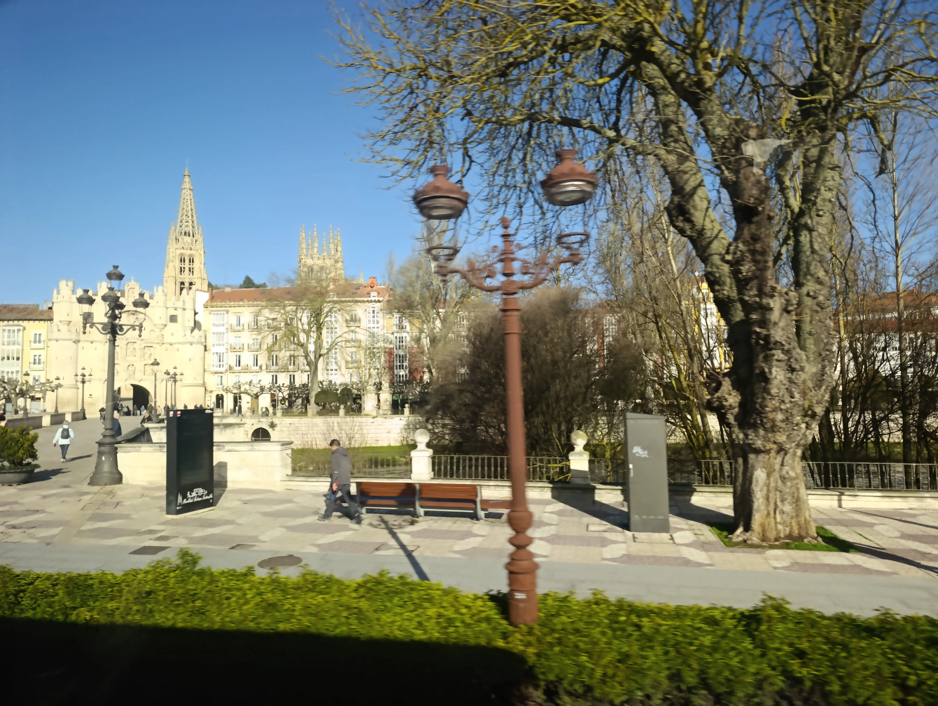 1000030940.webp