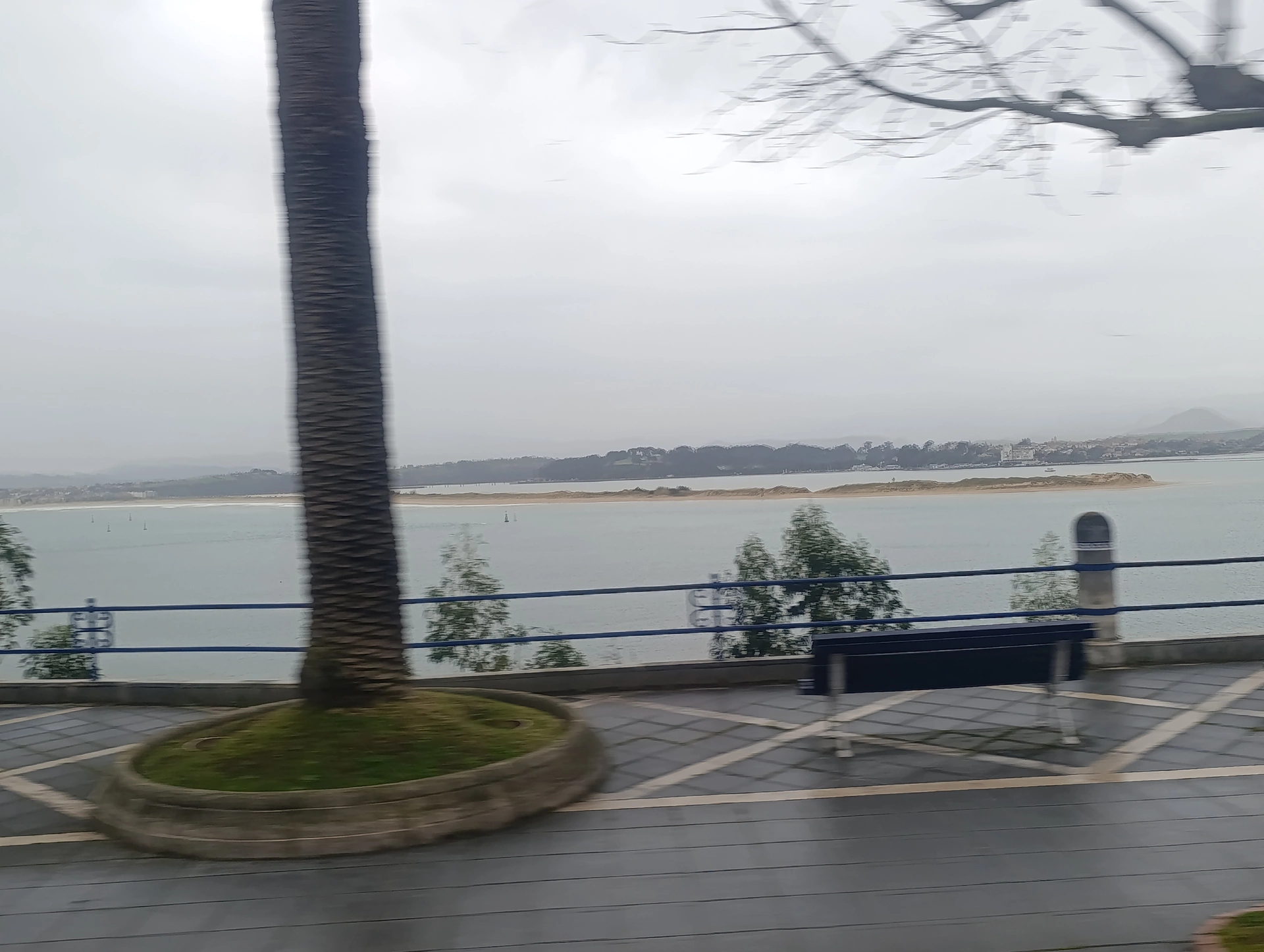 1000031101.webp