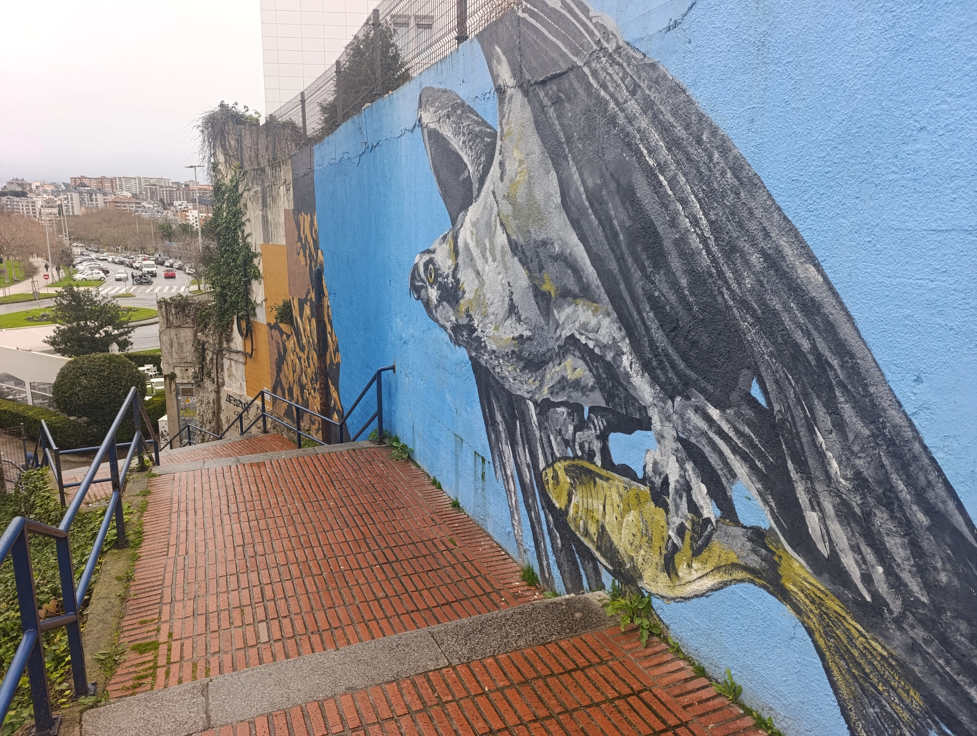 1000031155.webp