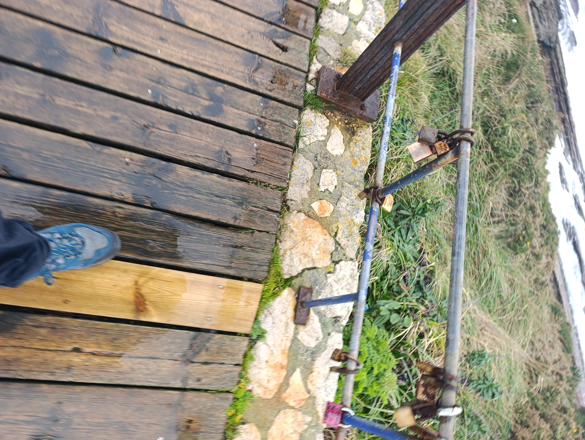 1000031169.webp