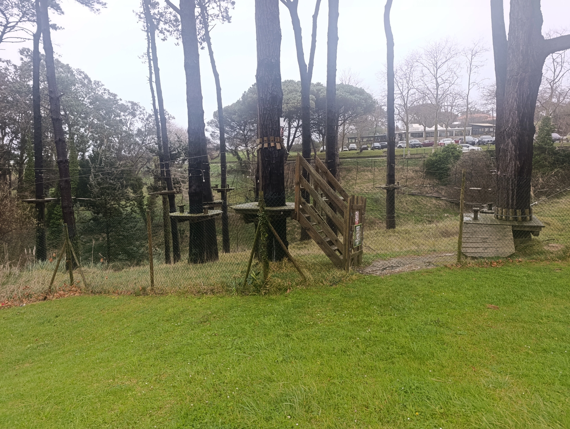 1000031272.webp