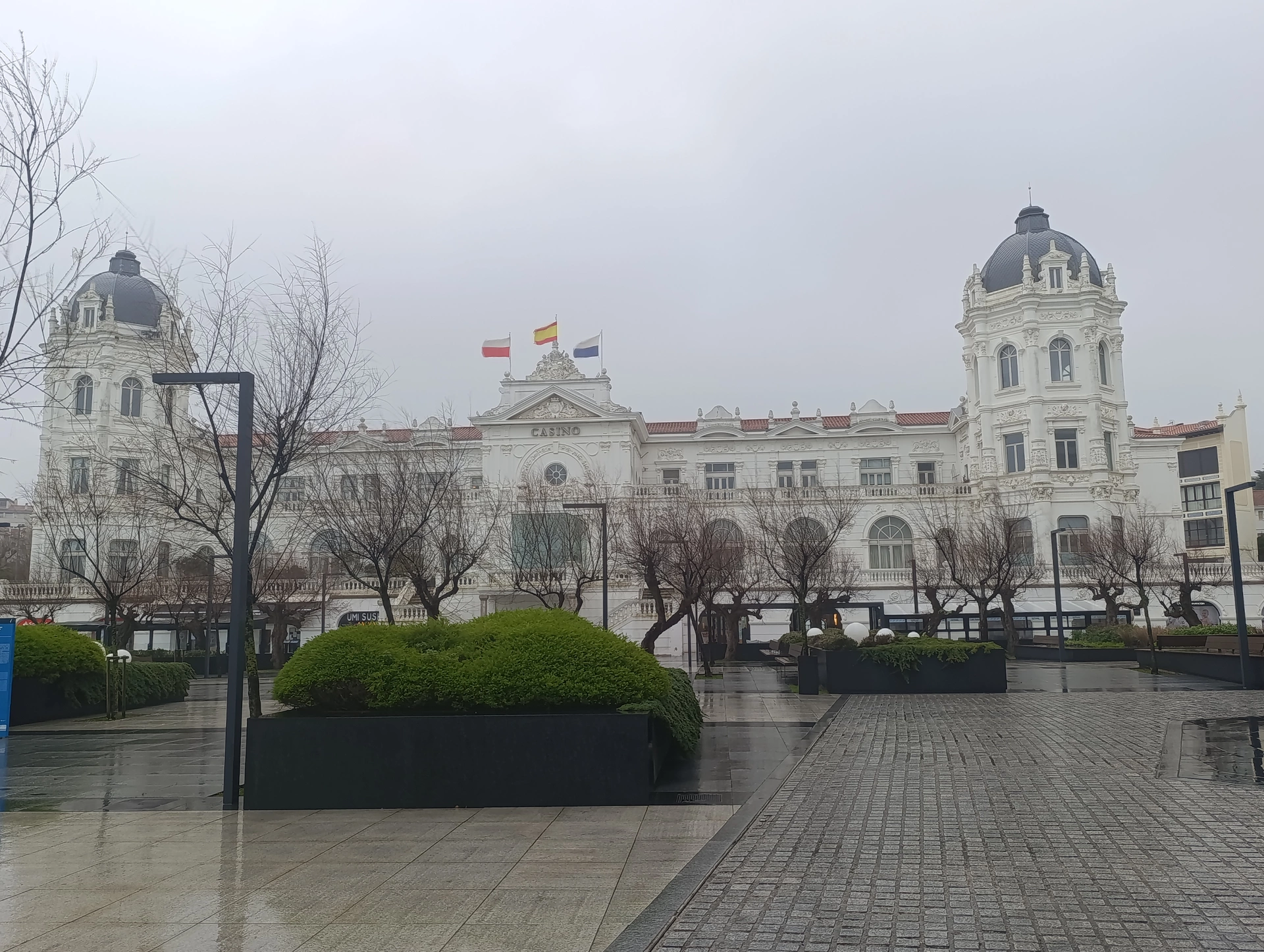 1000031280.webp