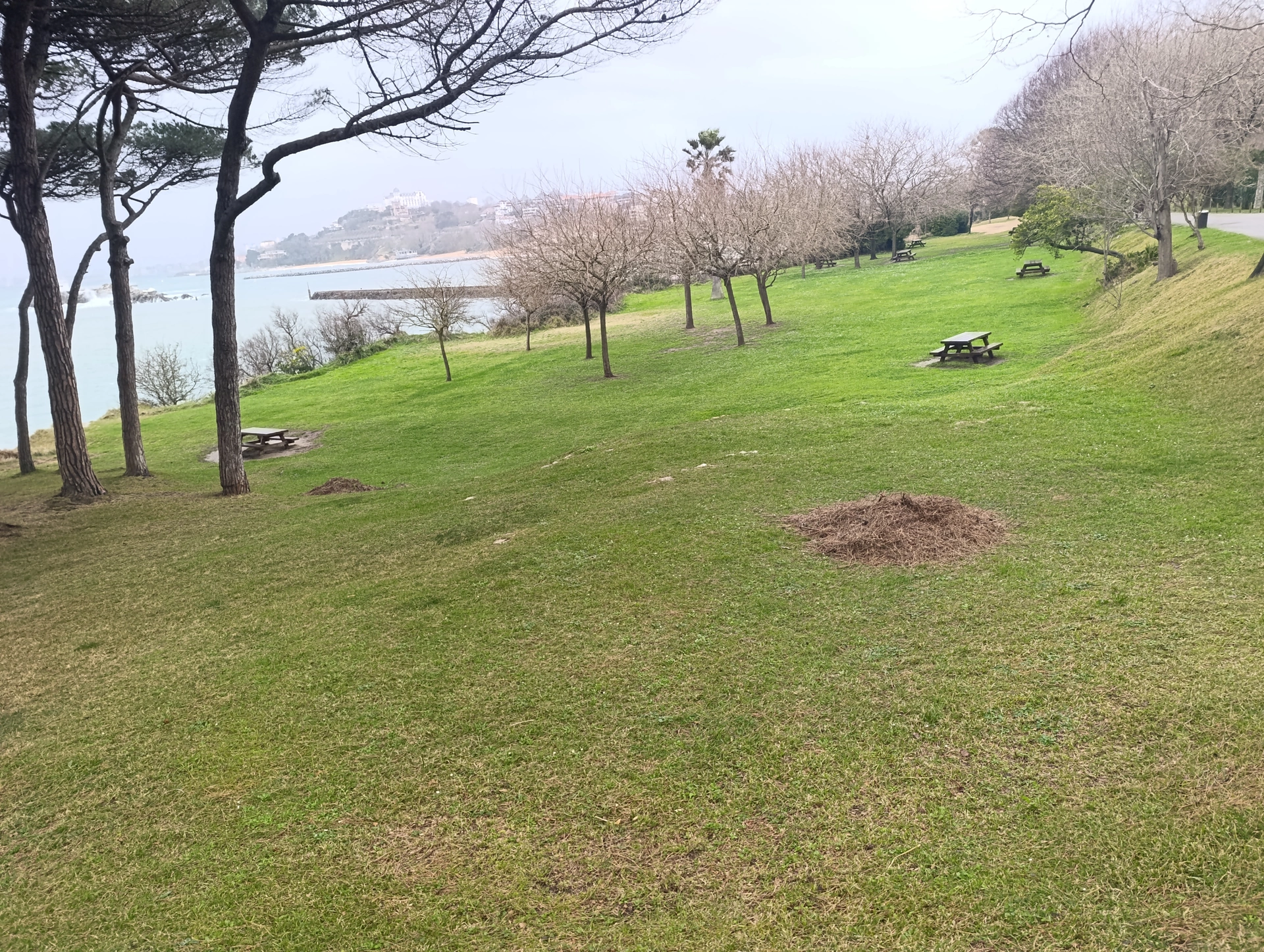 1000031461.webp