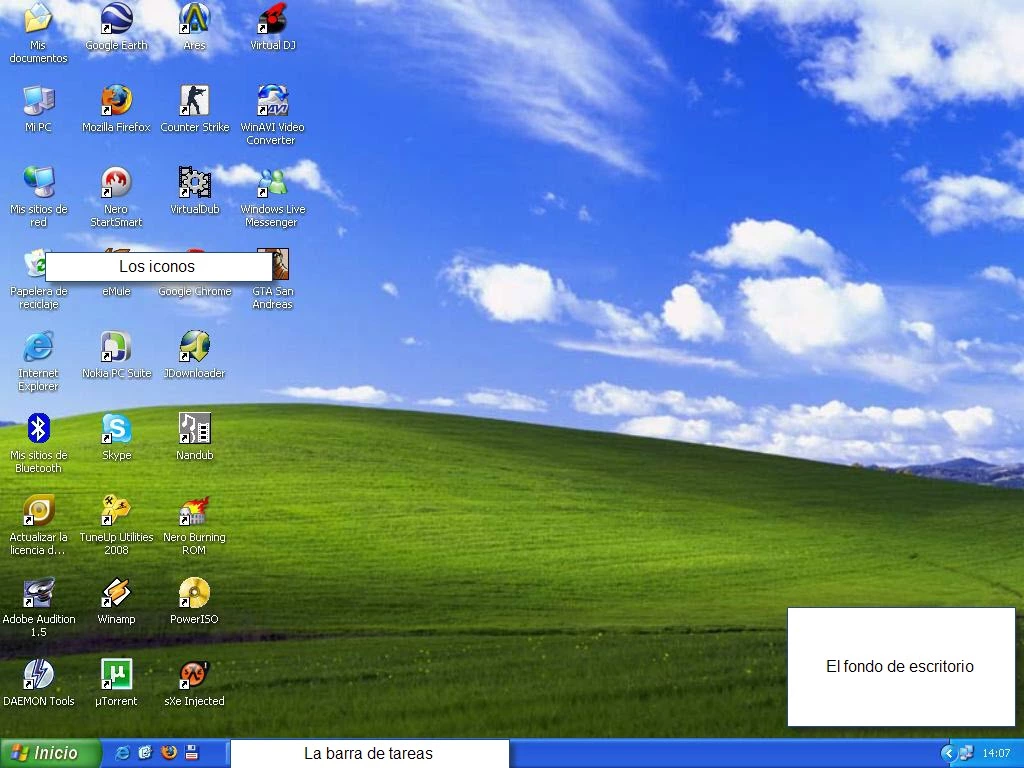 1000031587.webp