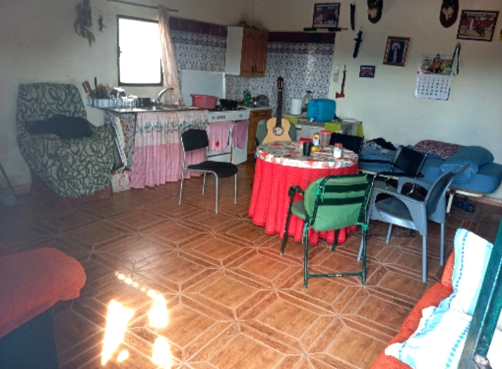 1000031716.webp