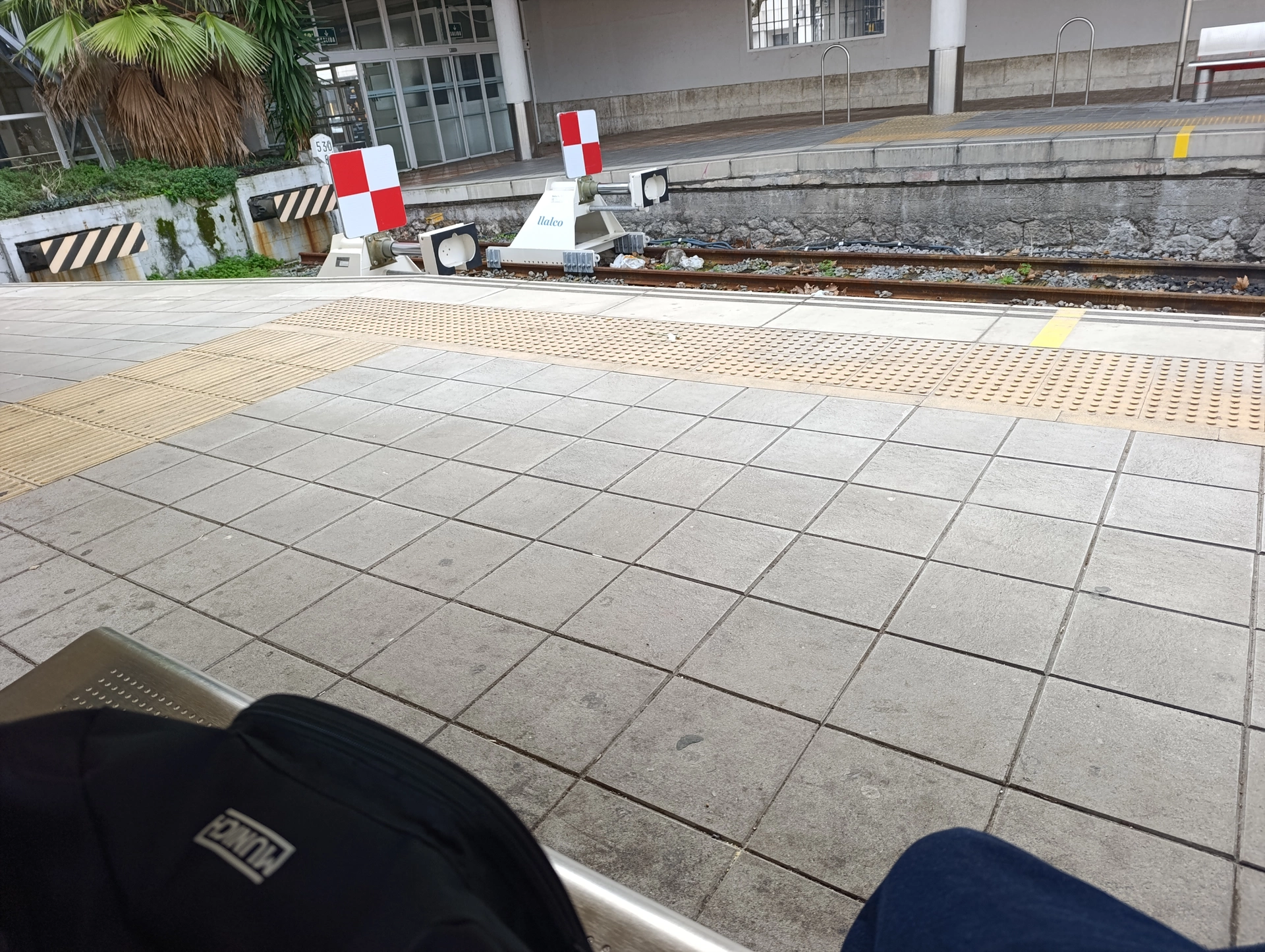 1000031818.webp
