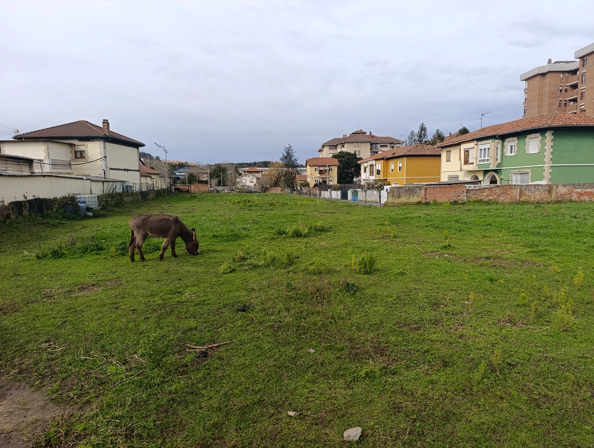 1000031825.webp