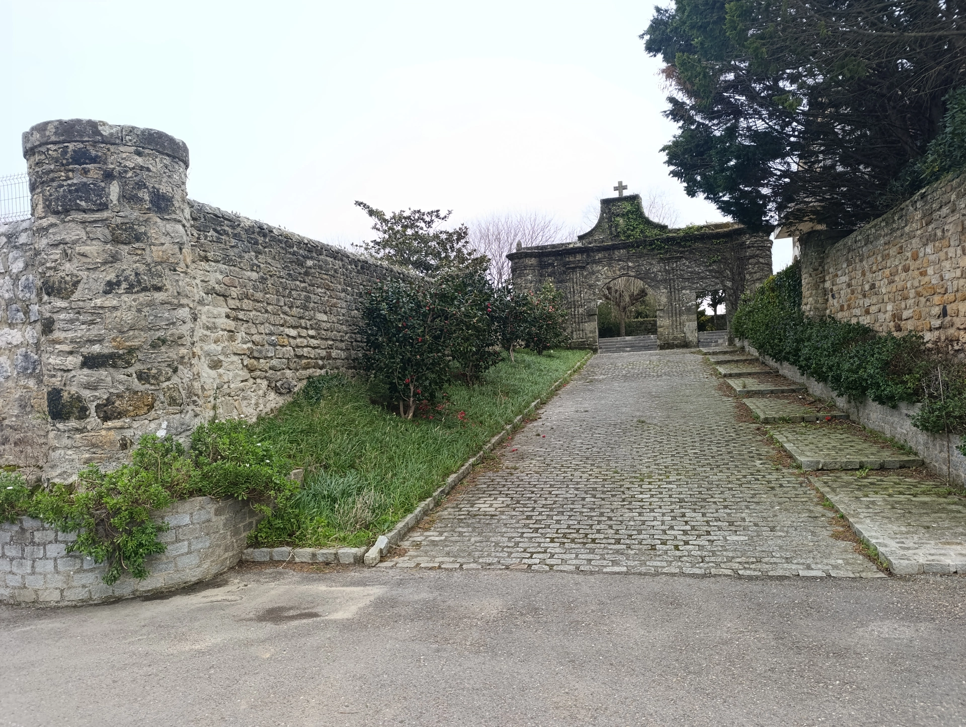 1000031847.webp