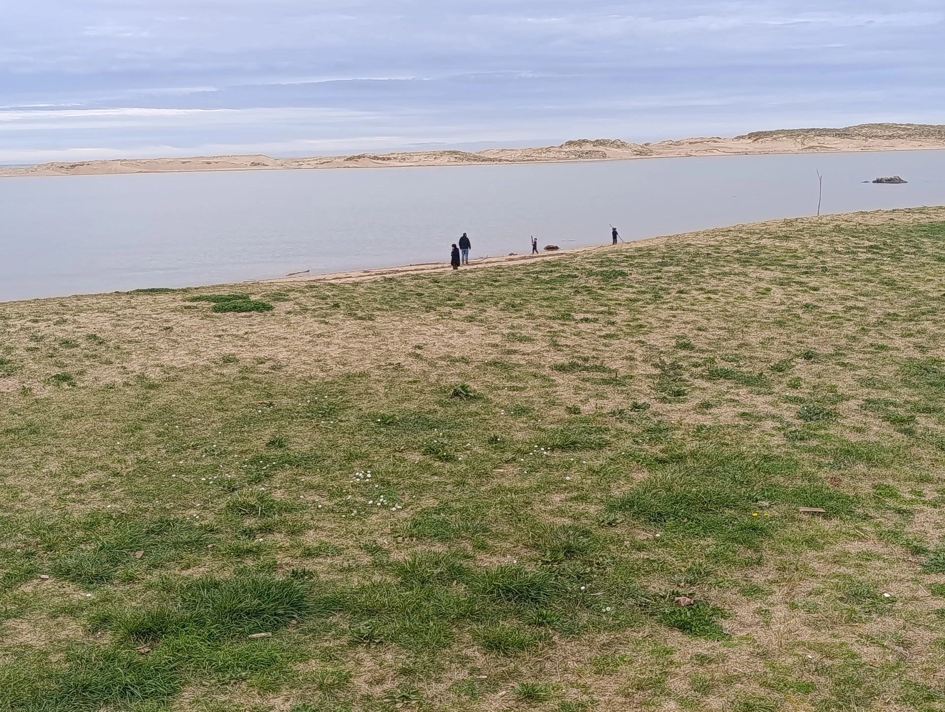 1000031870.webp