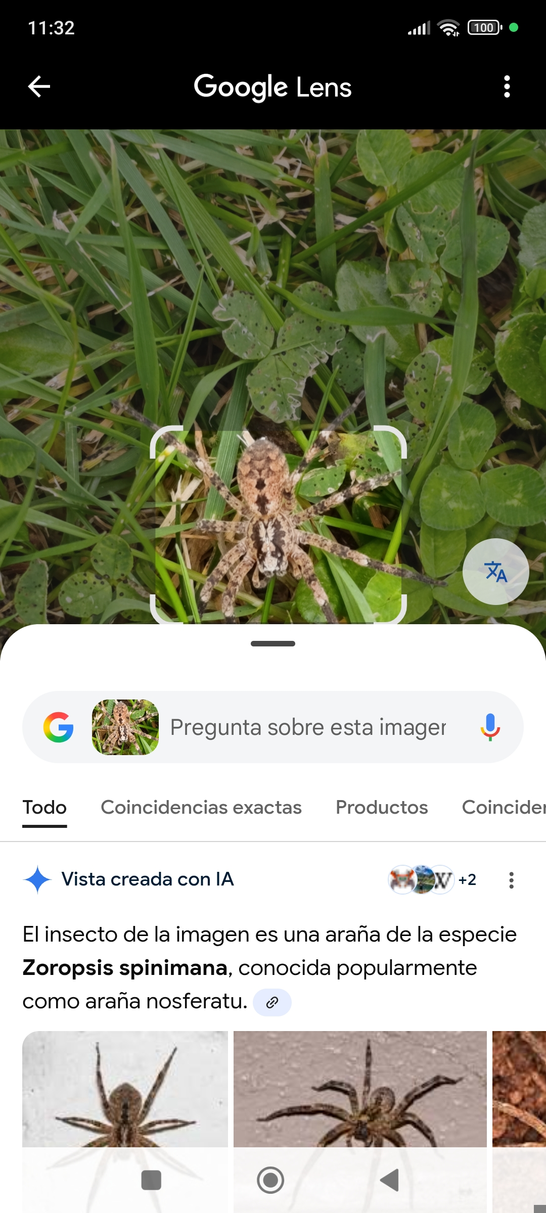 1000031926.webp