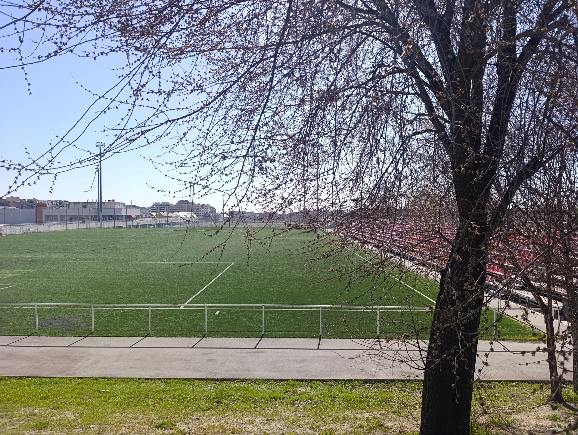 1000032520.webp