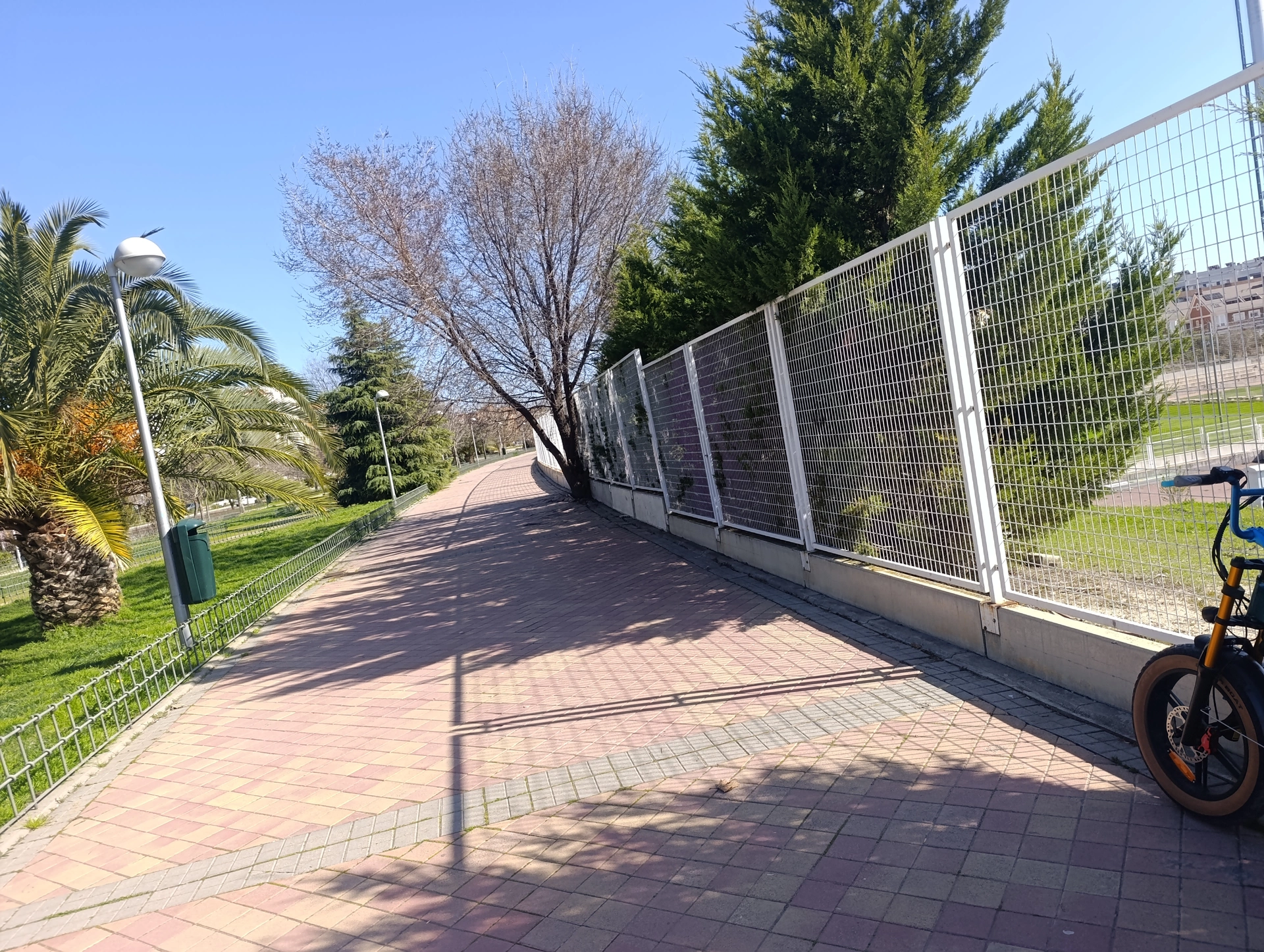 1000032525.webp