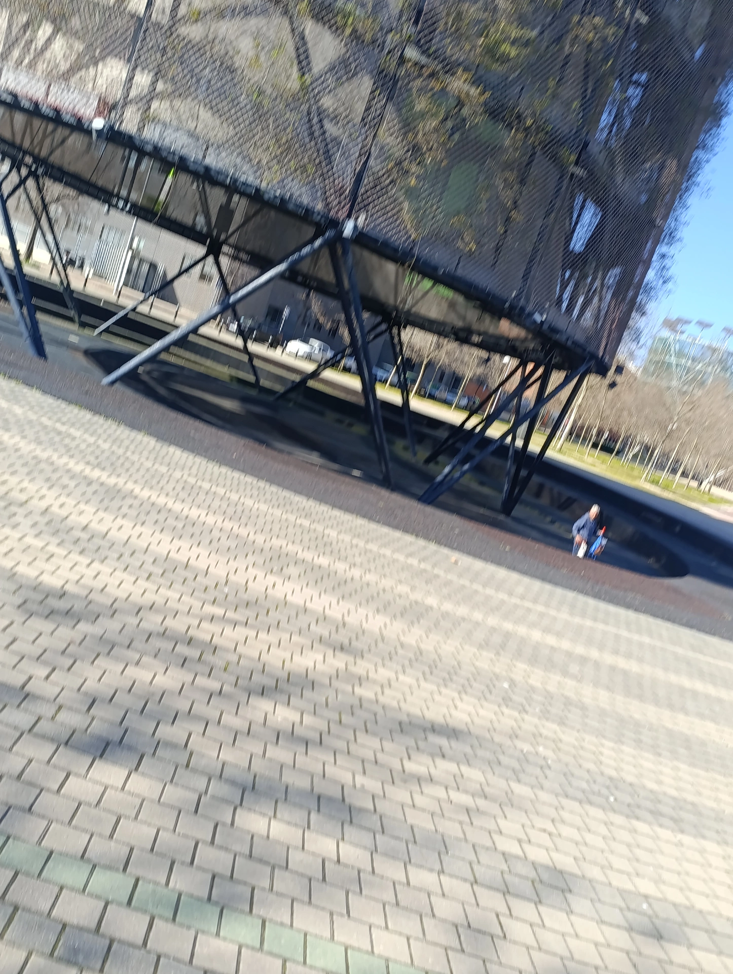 1000032540.webp