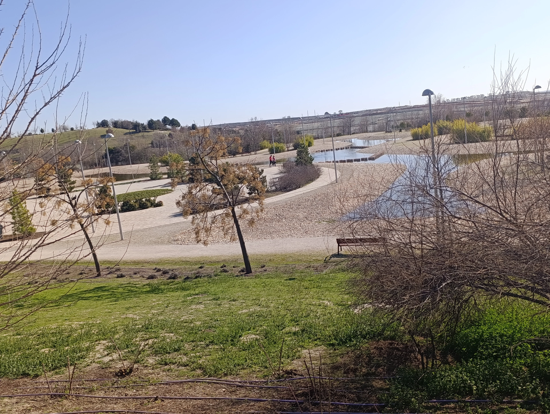 1000032543.webp