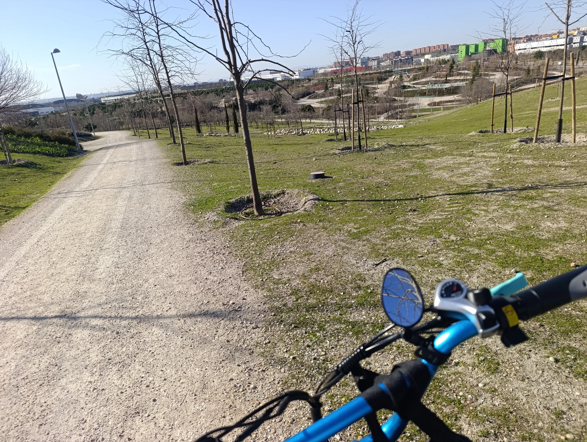 1000032554.webp