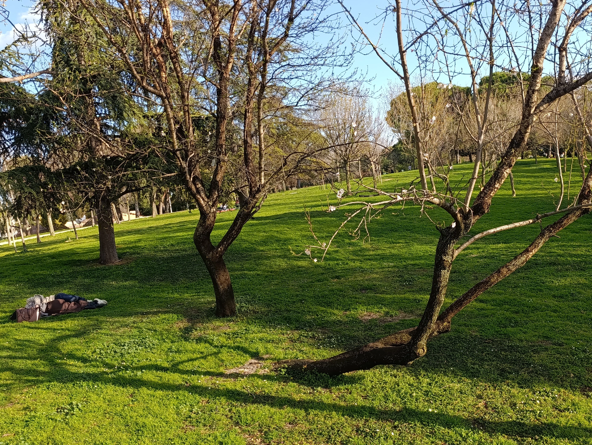 1000032723.webp