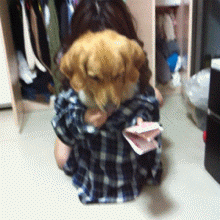 1000032751.gif