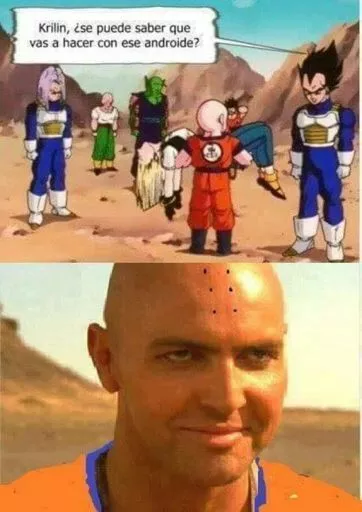 1000033129.jpg
