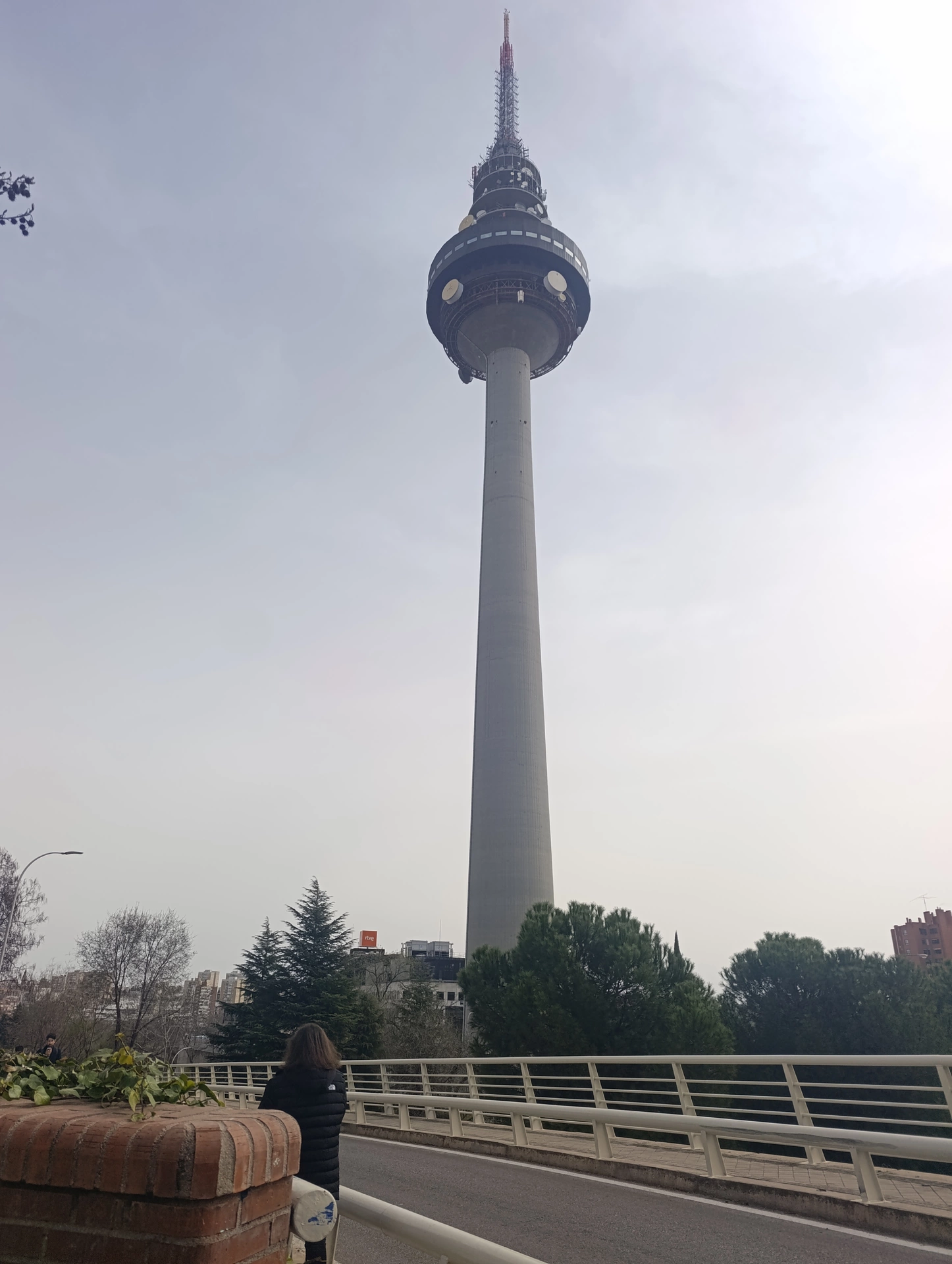 1000033147.webp