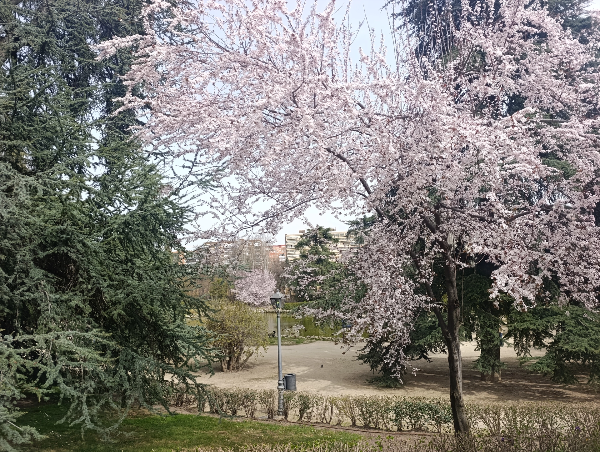 1000033155.webp