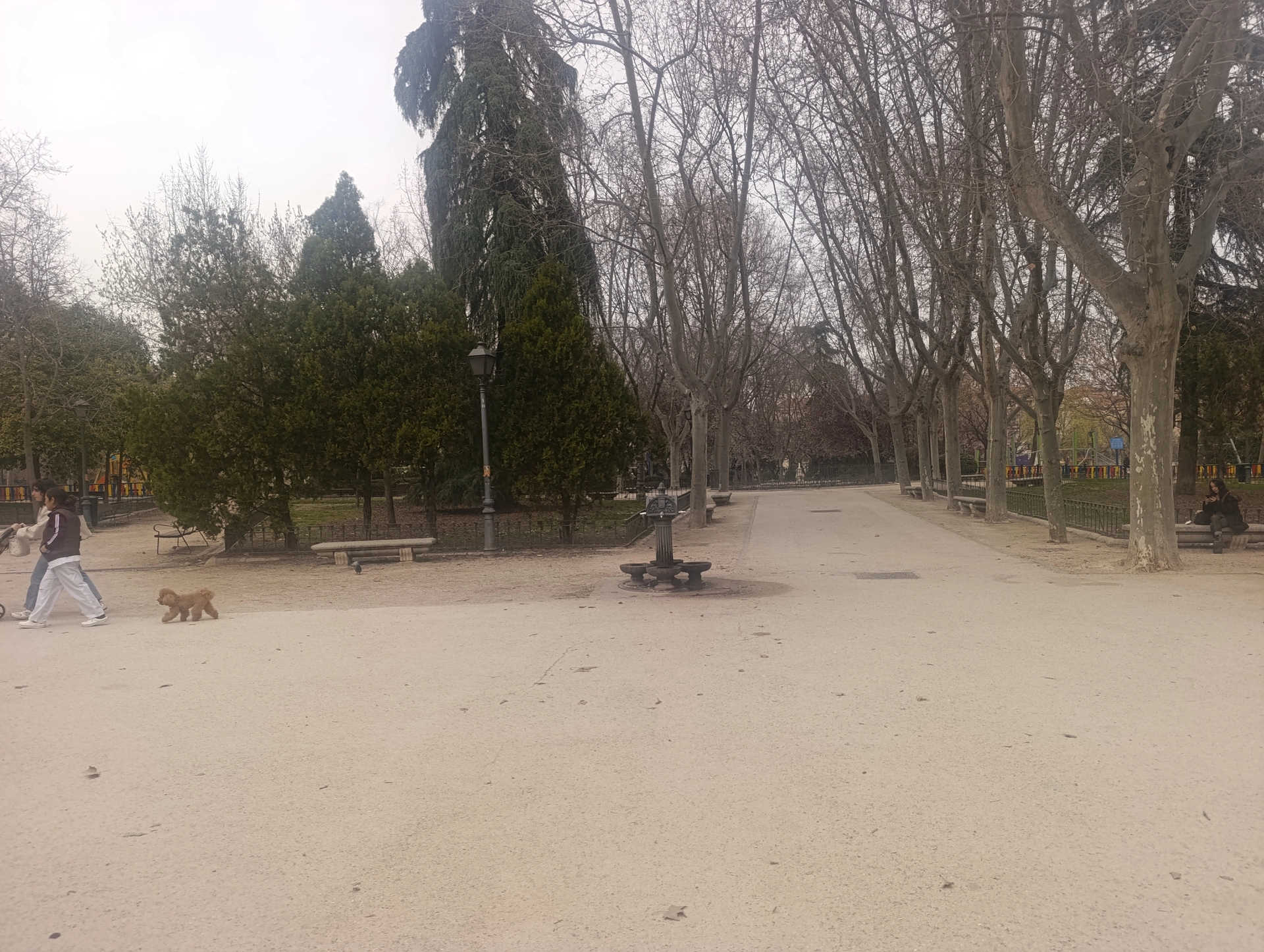 1000033185.webp