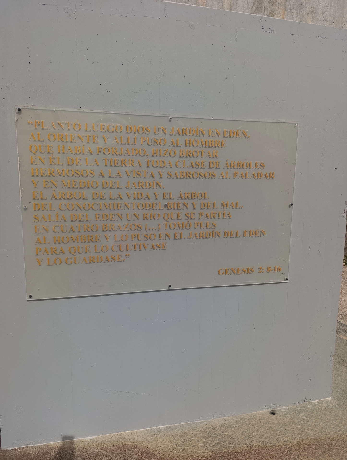 1000033308.webp