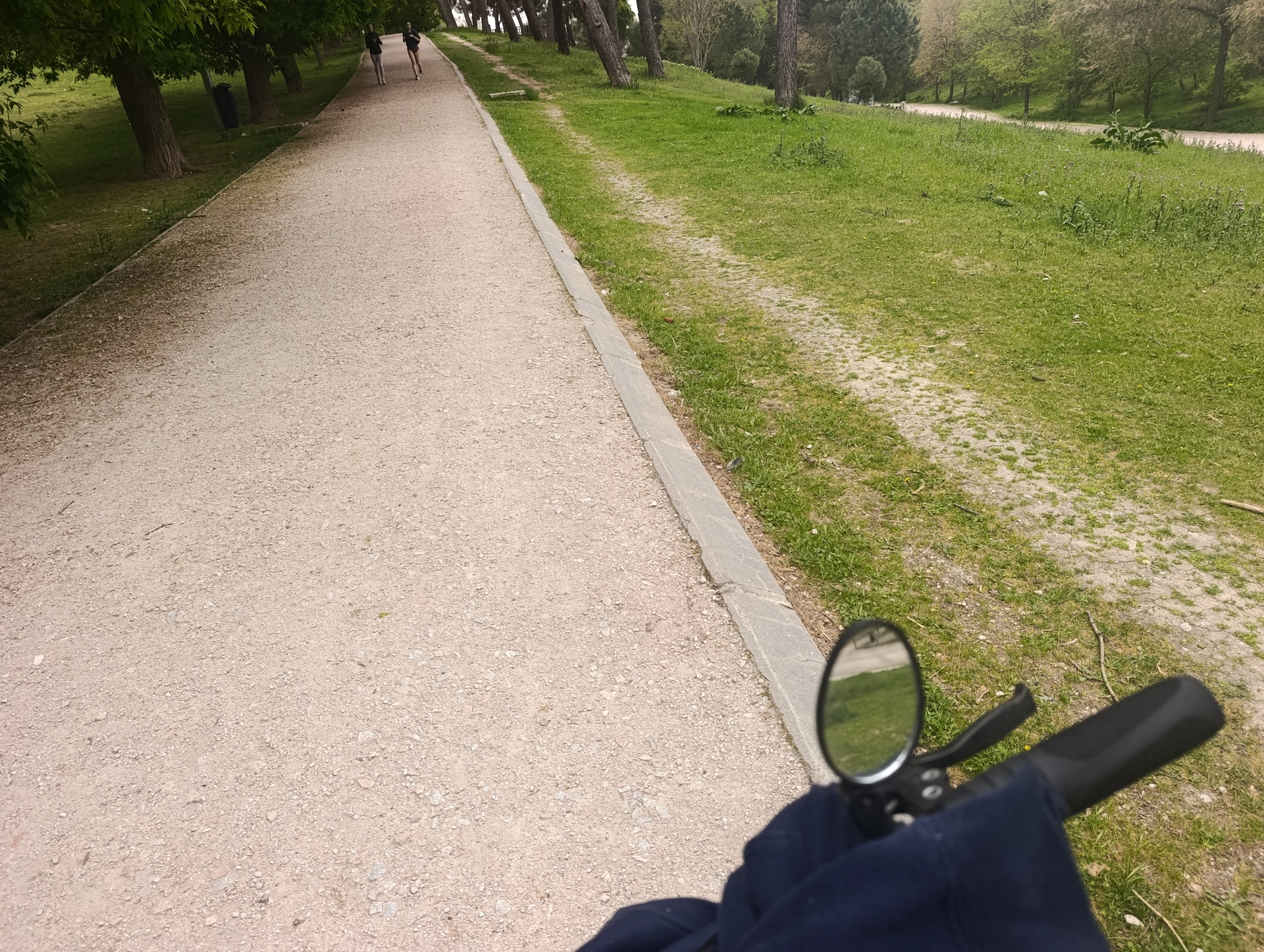 1000035824.webp