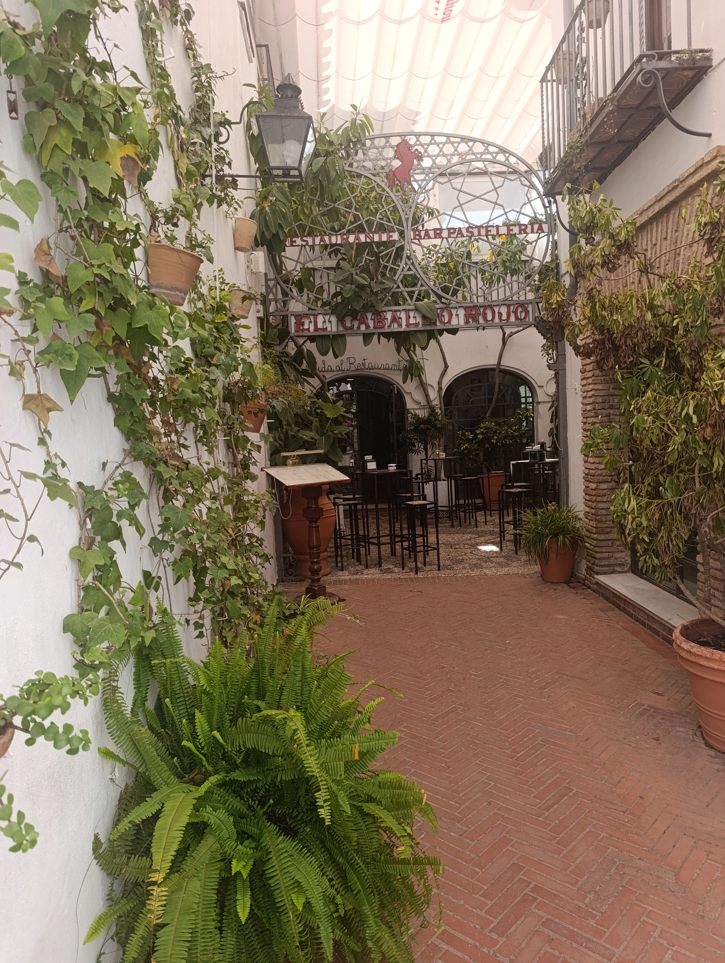 1000036876.webp