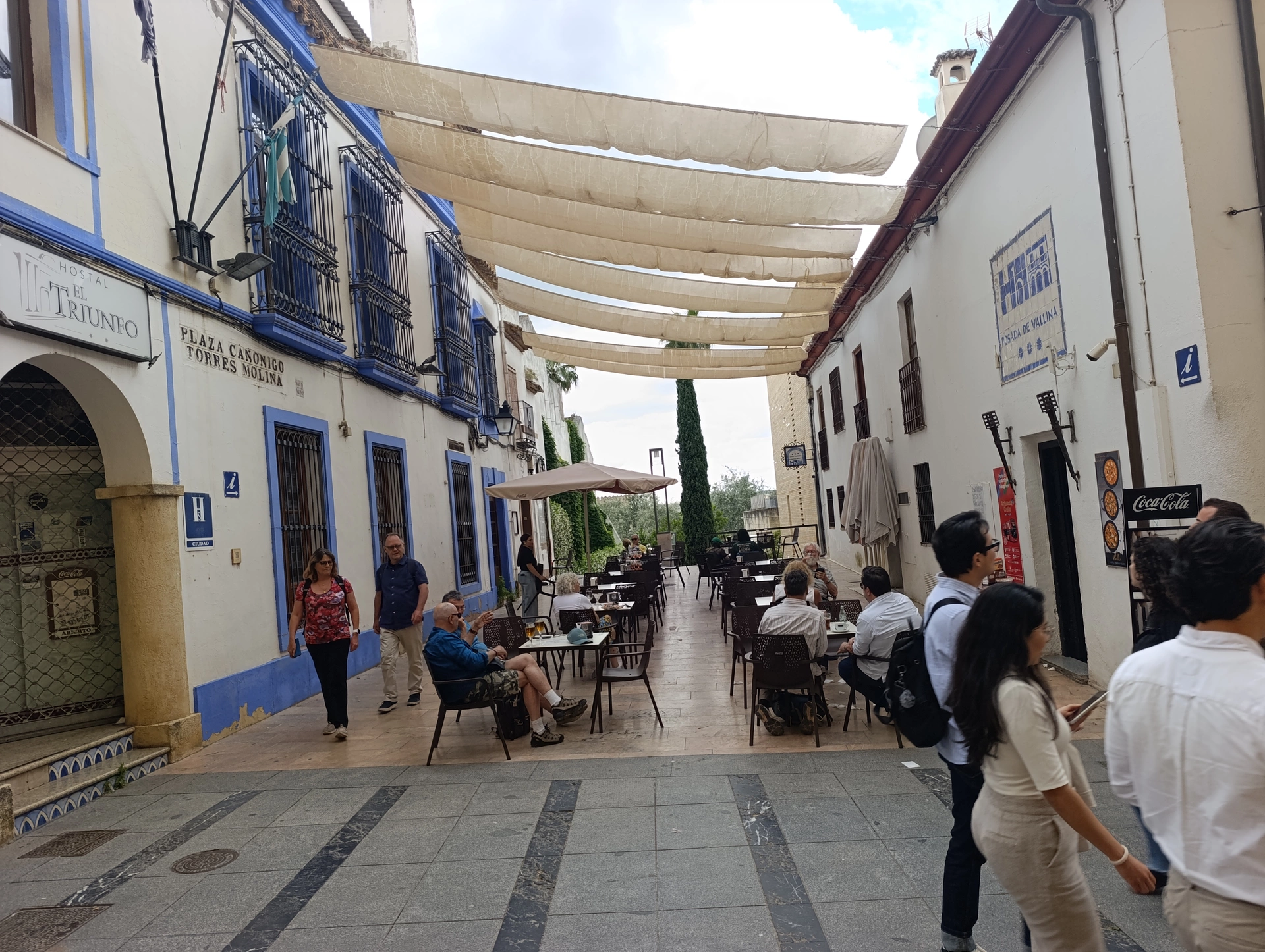 1000037022.webp
