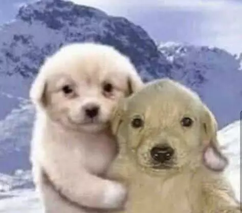 1000037105.webp