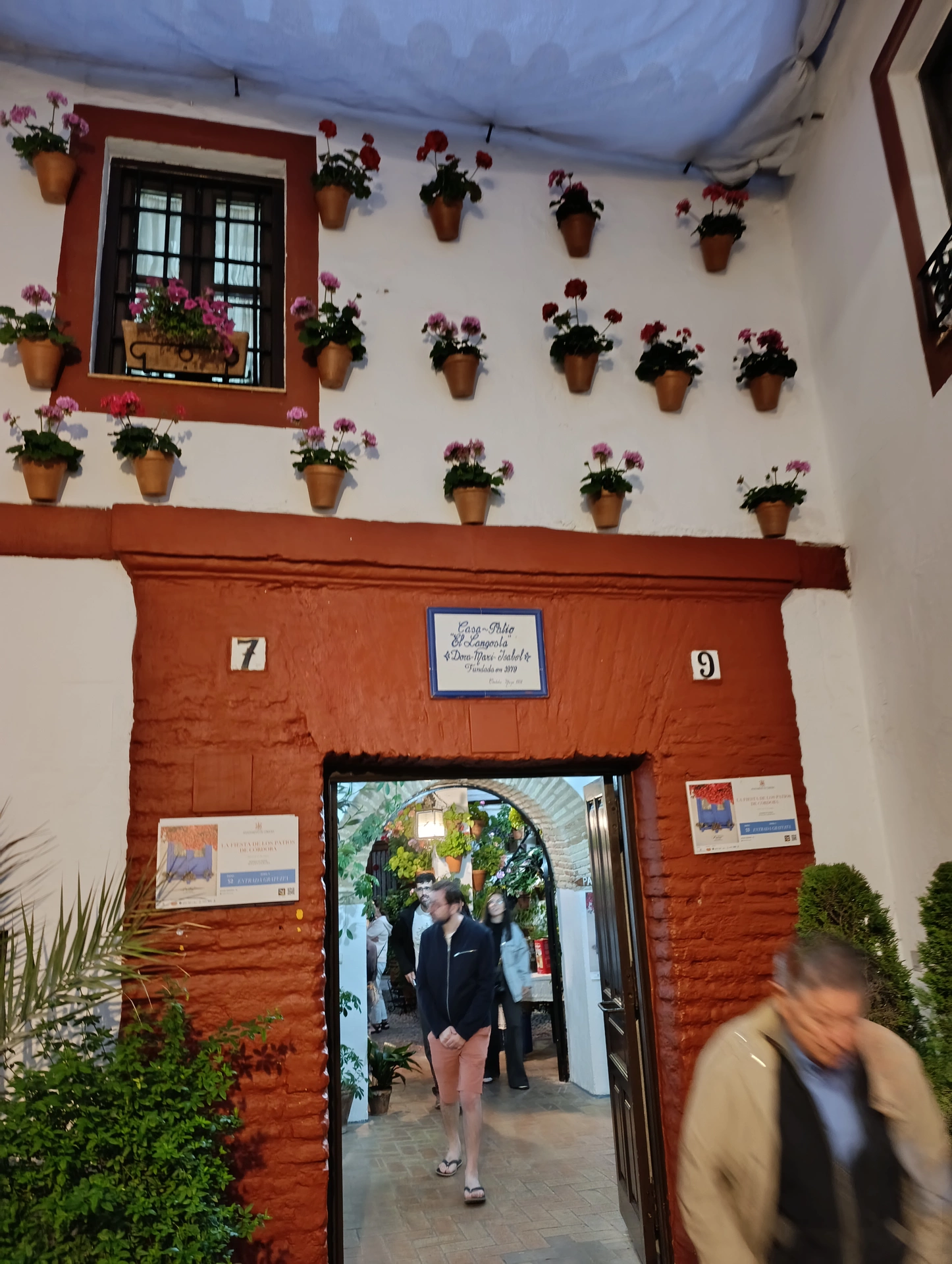 1000037133.webp