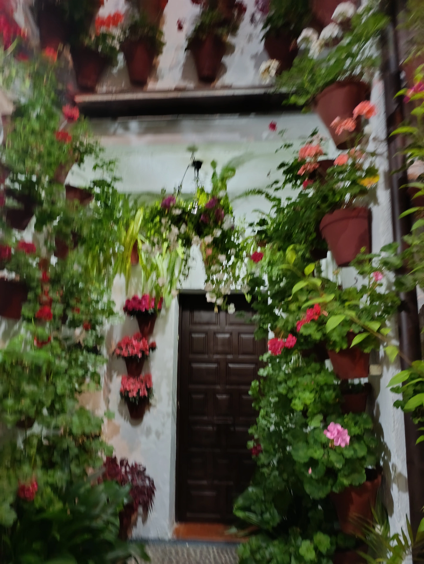 1000037142.webp