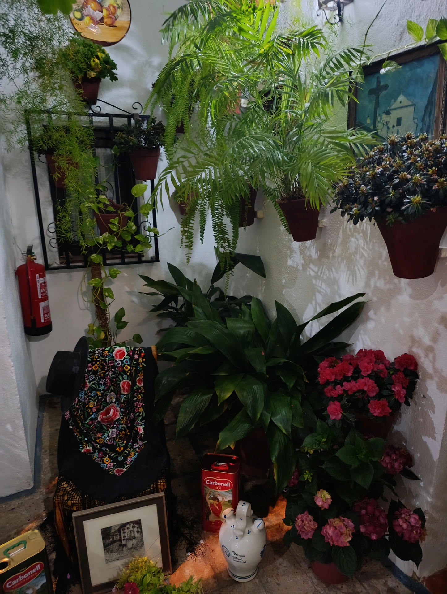 1000037148.webp
