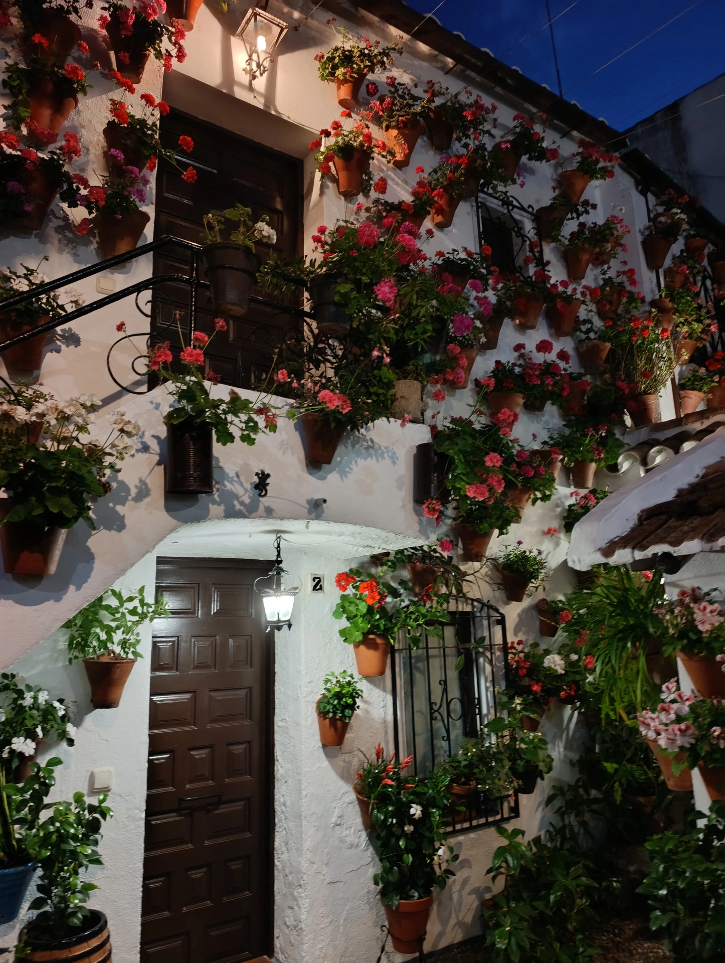 1000037153.webp