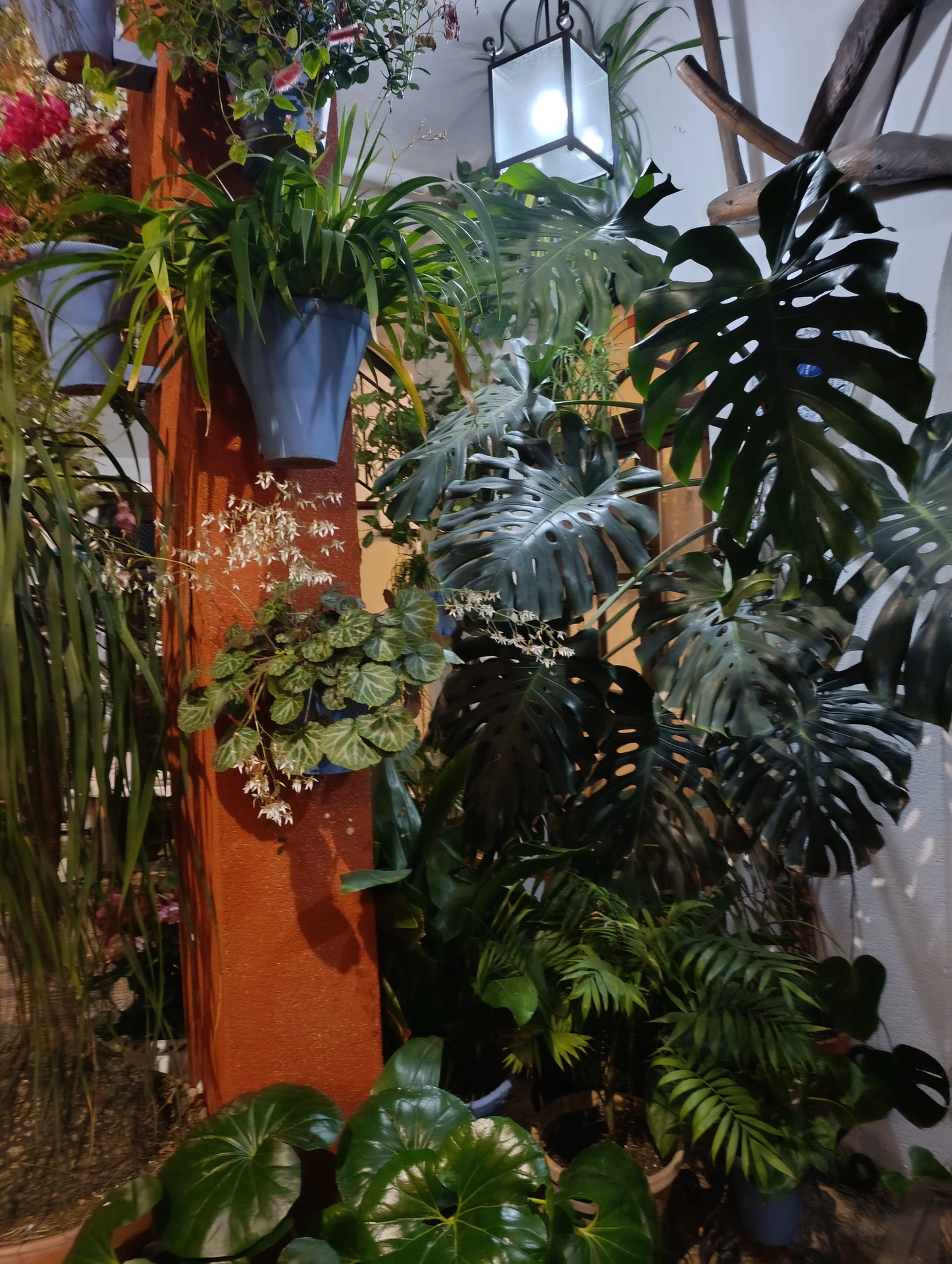 1000037162.webp