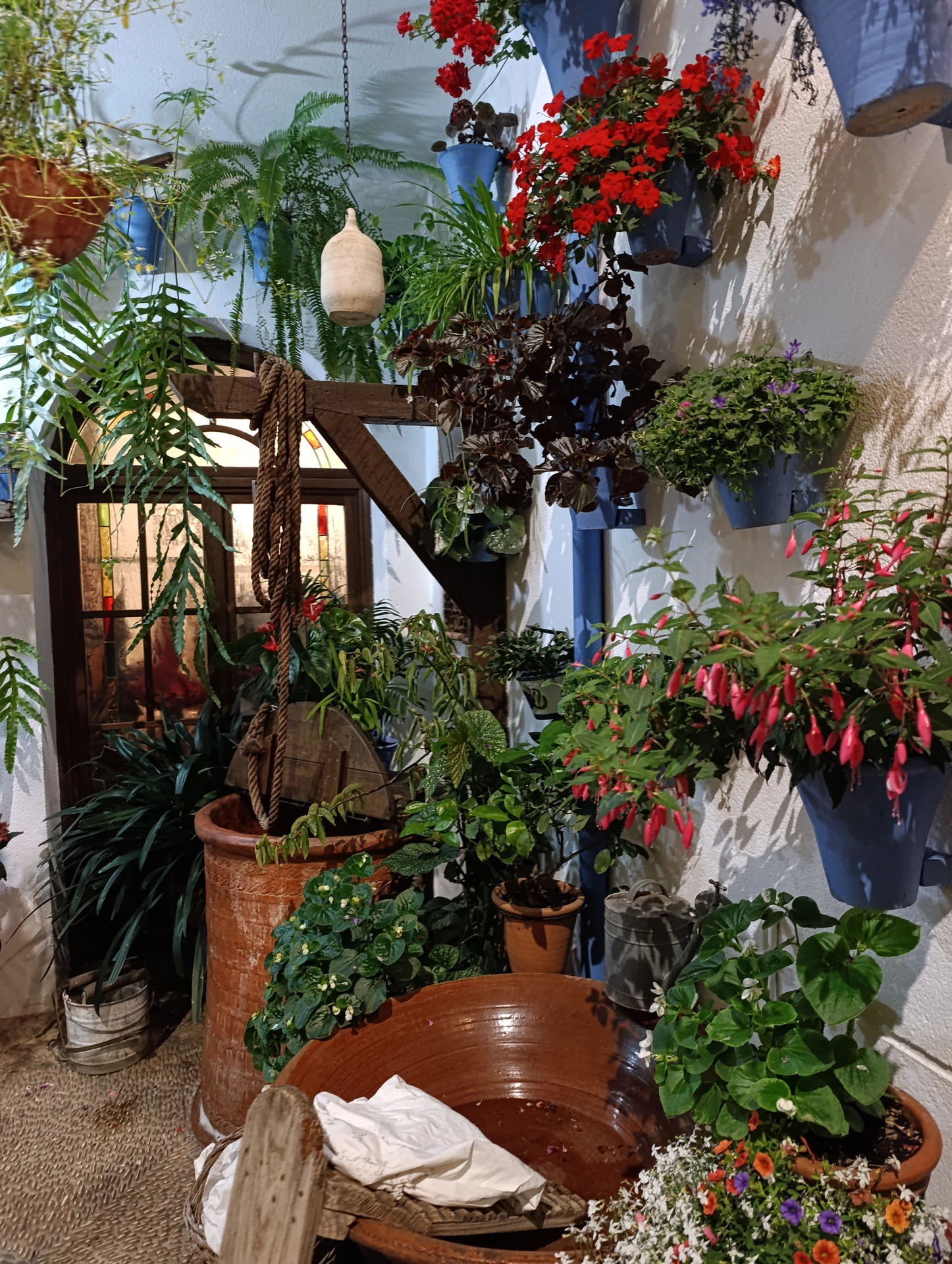1000037168.webp