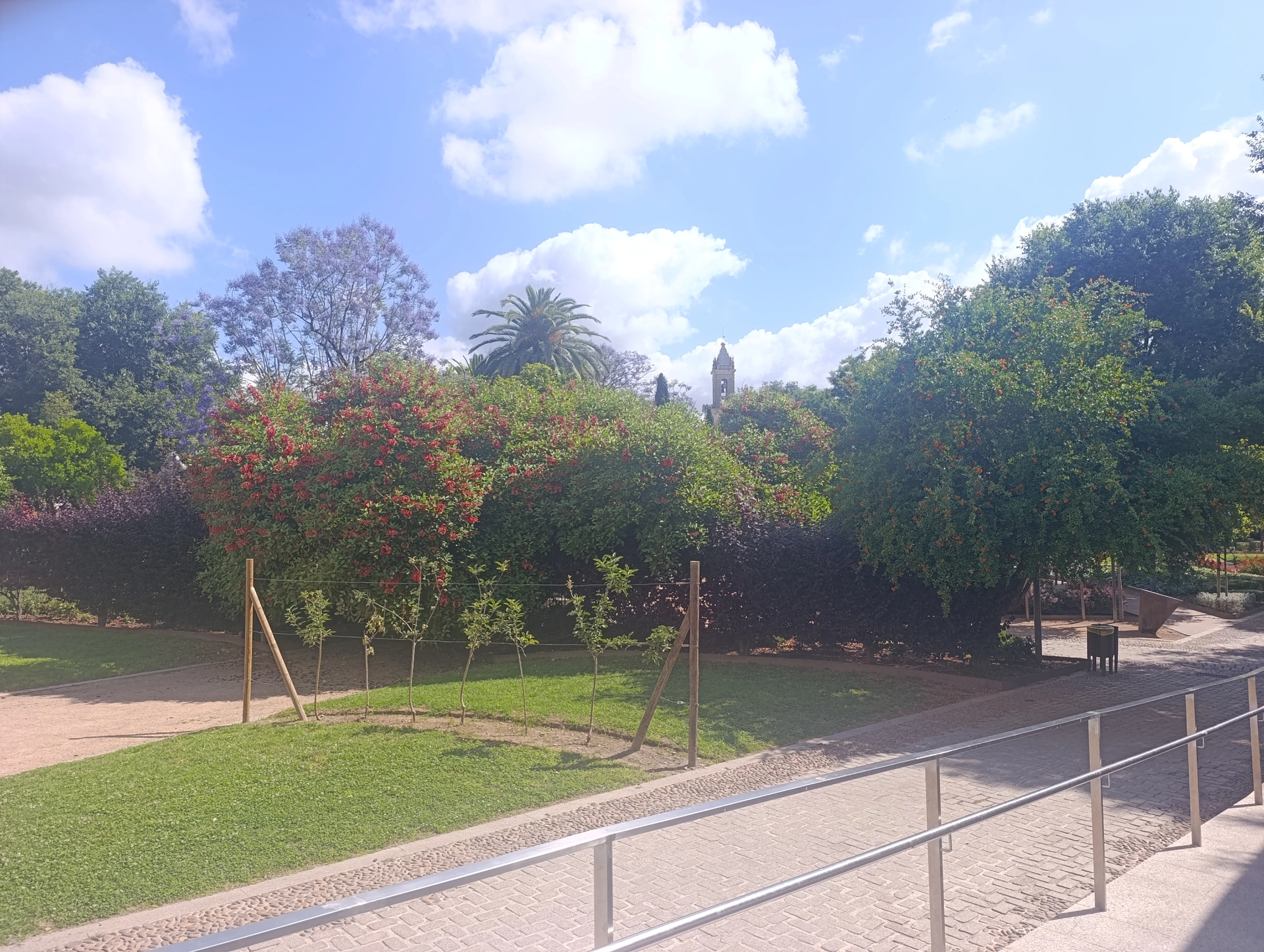 1000037303.webp