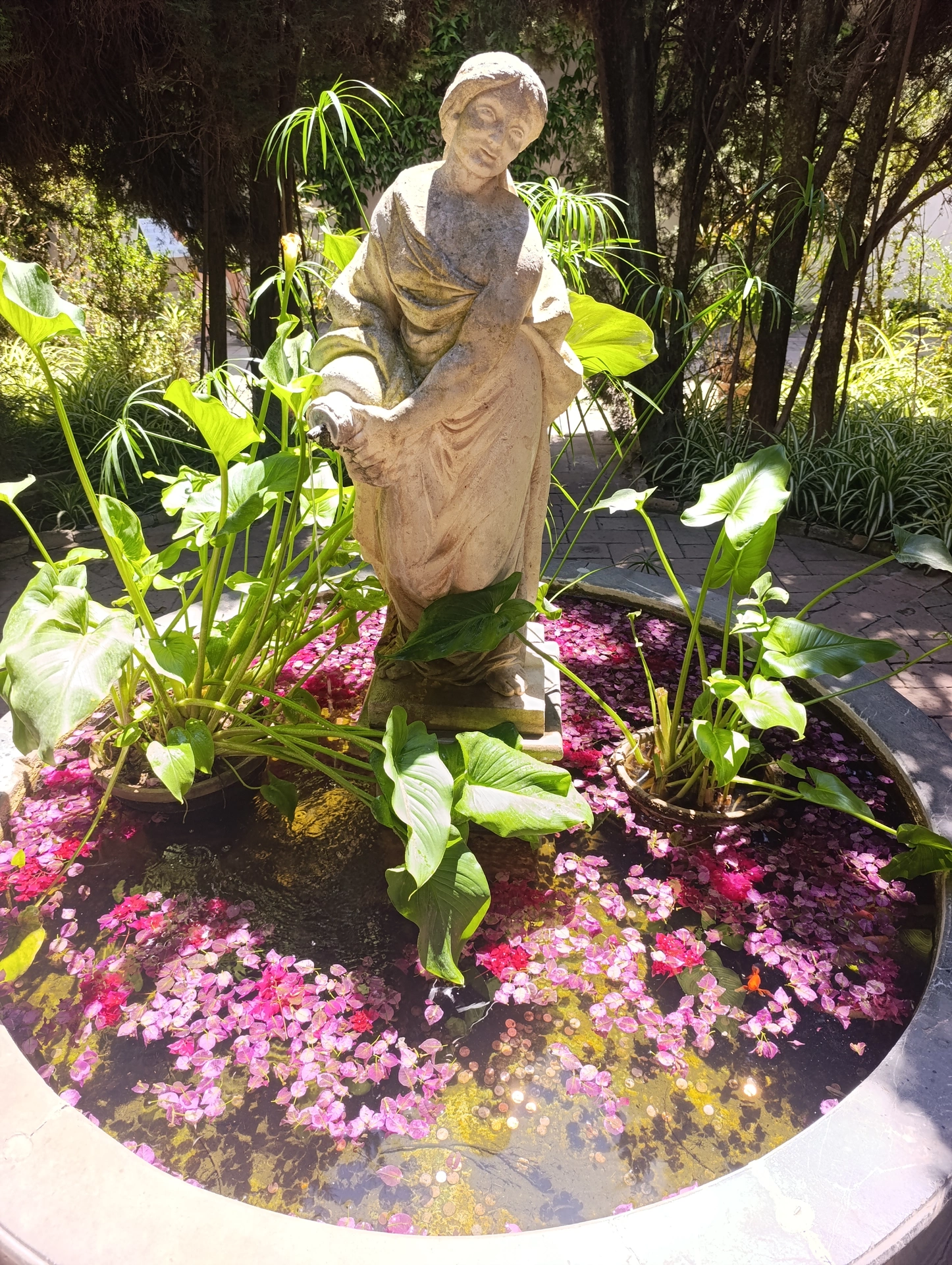 1000037389.webp